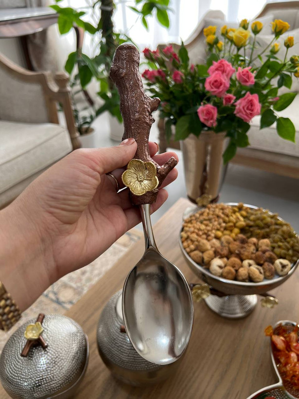 قاشق آجیل
